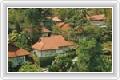  1  Peach Hill