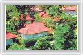  3  Peach Hill