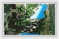  4  Phuket Grand Tropicana