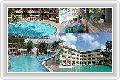  5  Thara Patong