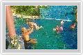  5  Tropical Garden Resort