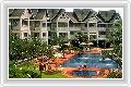  3  Allamanda