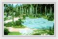  1  Club Andaman Beach Resort
