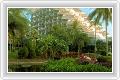  3  Club Andaman Beach Resort