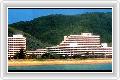  3  Phuket Arcadia