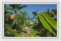  2  Poppis Samui