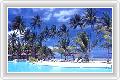  2  Orchid Resort