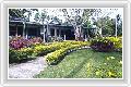  5  Orchid Resort