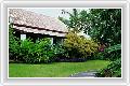  4  Samui Palm Beach Resort