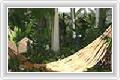  4  The Mangosteen Resort & Spa